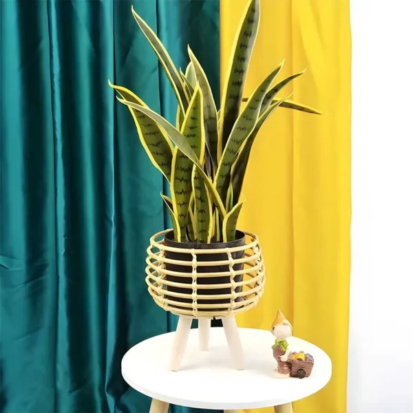 Soporte para macetas - Imagen 2