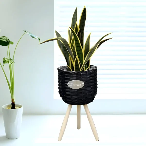 Soporte para macetas - Imagen 4